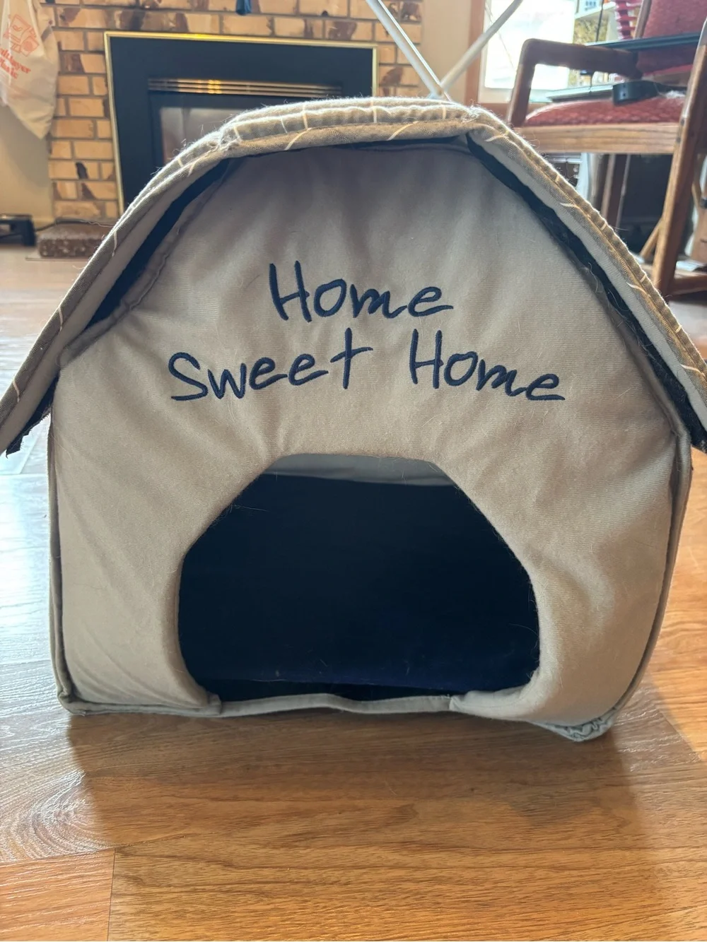 Cat home sweet home
